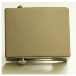 MS10486-40 Web Buckle Gold
